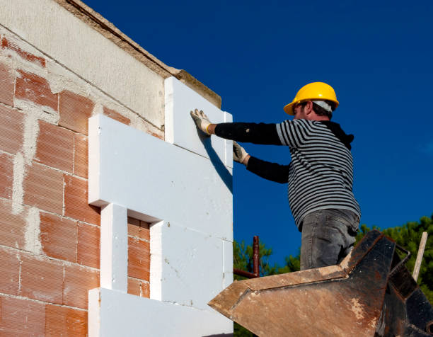 Best Attic Insulation Installation  in Annetta, TX
