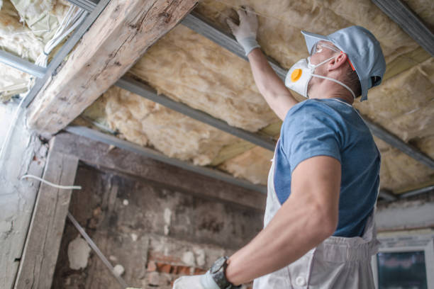 Best Attic Insulation Near Me  in Annetta, TX