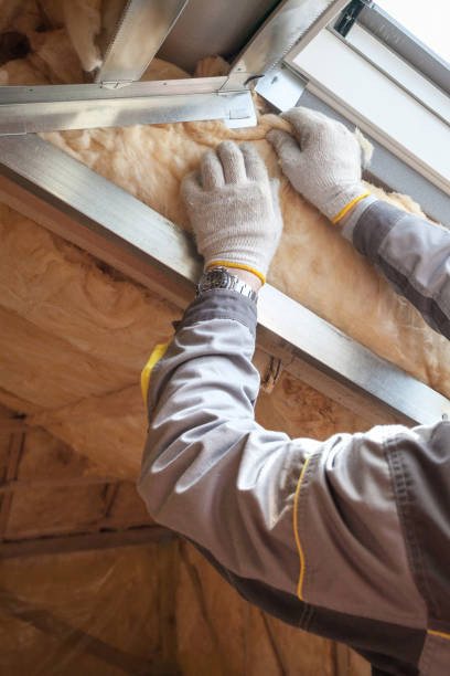Best Crawl Space Insulation  in Annetta, TX