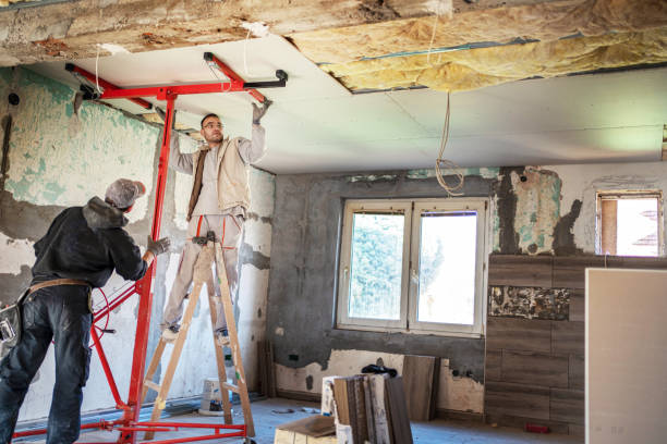 Best Cellulose Insulation  in Annetta, TX