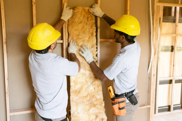 Best Insulation Contractors for Homes  in Annetta, TX