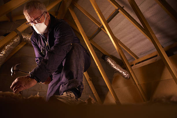 Best Crawl Space Insulation  in Annetta, TX