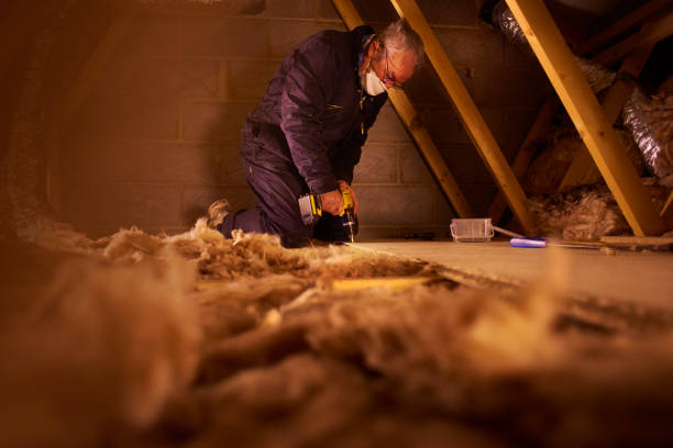 Best Best Insulation Companies  in Annetta, TX